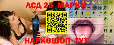 мдма Кингисепп