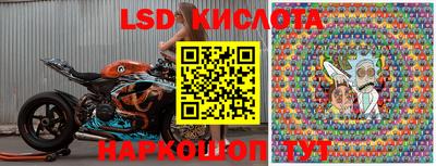 стаф Бугуруслан