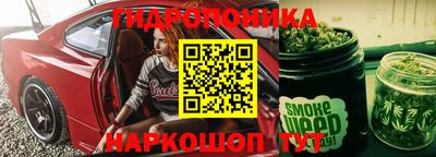 гашик Будённовск