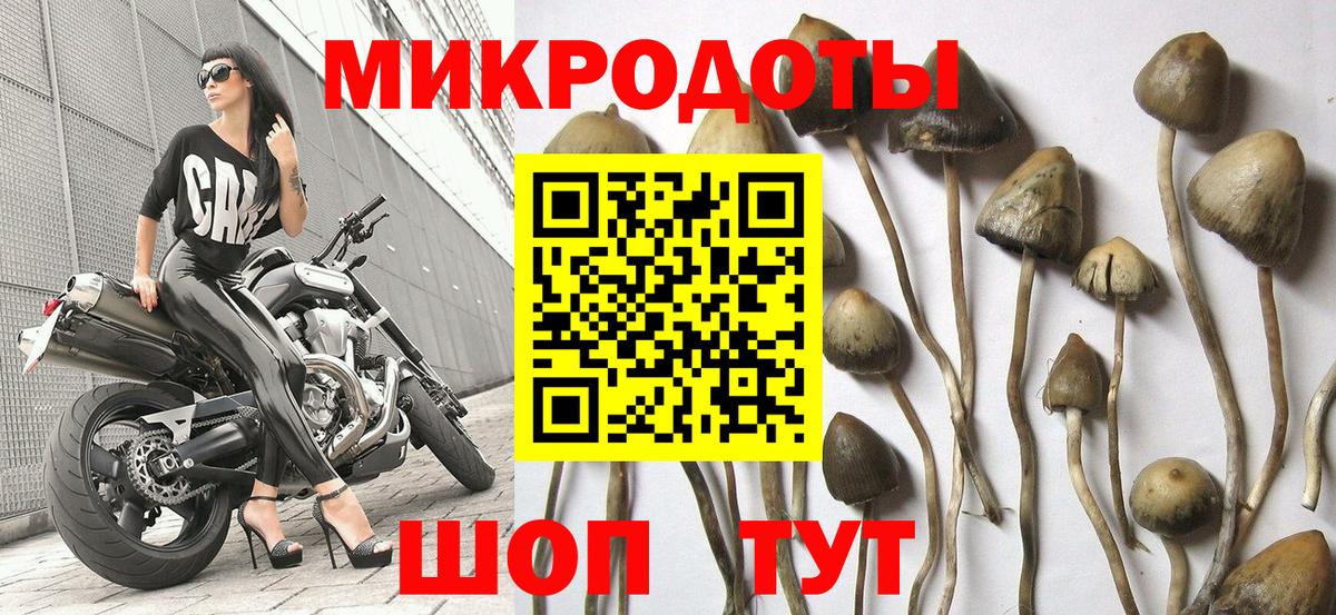 Псилоцибиновые грибы прущие грибы Междуреченск