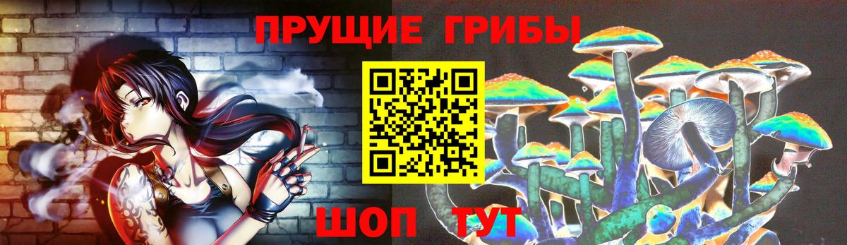 Псилоцибиновые грибы Psilocybine cubensis  Галлюциногенные грибы мицелий  купить закладку  Вход с VPN  Междуреченск 